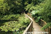 Lost Garden of Heligan