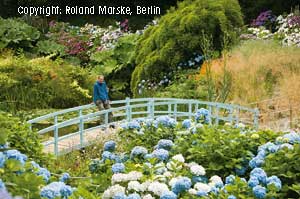 Trebah-Garden_Japanische-Bruecke