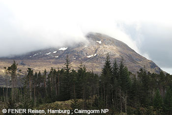 Cairngorm NP