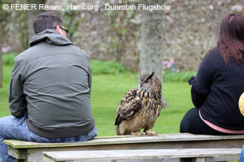 Flugshow im Dunrobin Castle