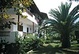 Palmengarten