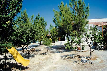 Der Garten