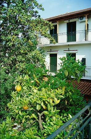 Hotel des Roses