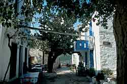 Gasse in Alonissos-Ort