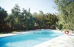 Der gemeinsame Pool