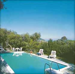 Der Pool vom Rania