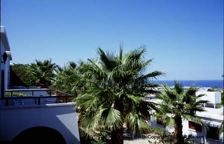 NZY Onus Village
