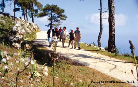 Wandergruppeweg2004