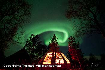 Nordlicht bei Tromsö