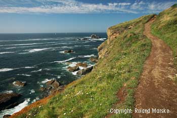 Lizart point