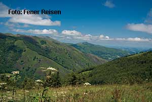 Alpine Landschaft