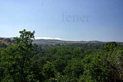 Urwald von Fargas