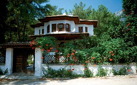 Villa Senator