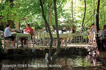 Fr&uuml;hst&uuml;ck unter Plantanen in der Natur