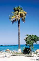 Beim Strand des Hotels