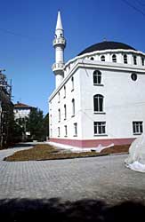 Haseln&uuml;sse