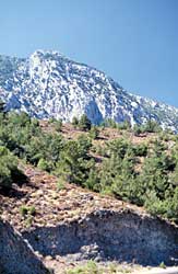 Landschaft bei Datca