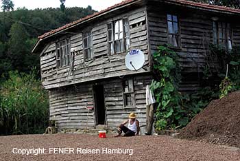 Haseln&uuml;sse am Schwarzen Meer