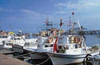 sinopboote